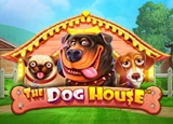 Dog House
